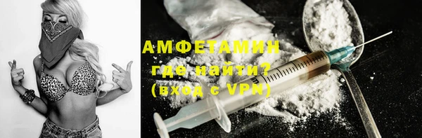 прущие грибы Волосово