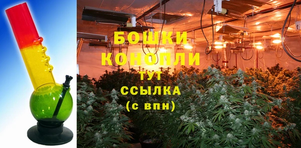 прущие грибы Волосово