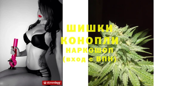 прущие грибы Волосово