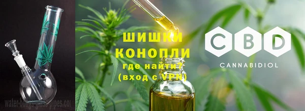 сатива Бородино