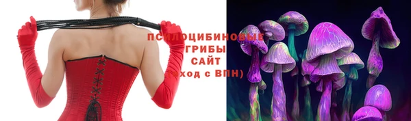 jwh Володарск