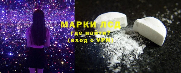 прущие грибы Волосово