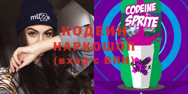 индика Козловка