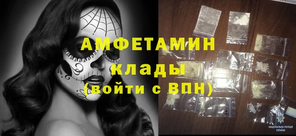 прущие грибы Волосово