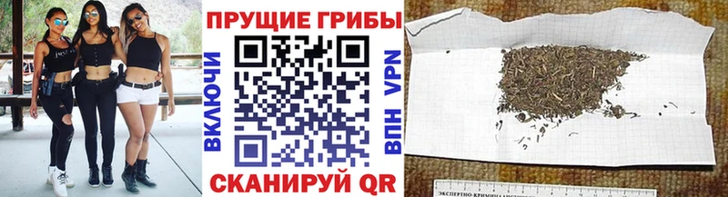 Галлюциногенные грибы Psilocybe  omg ТОР  Ишим 